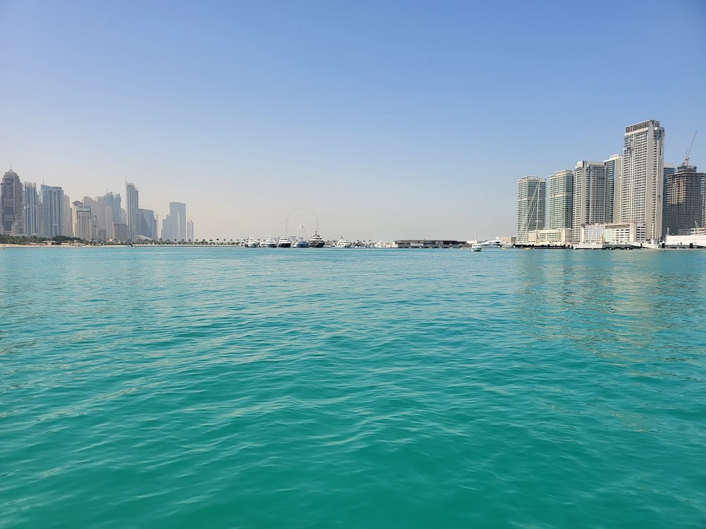 gem image Seamocean 9