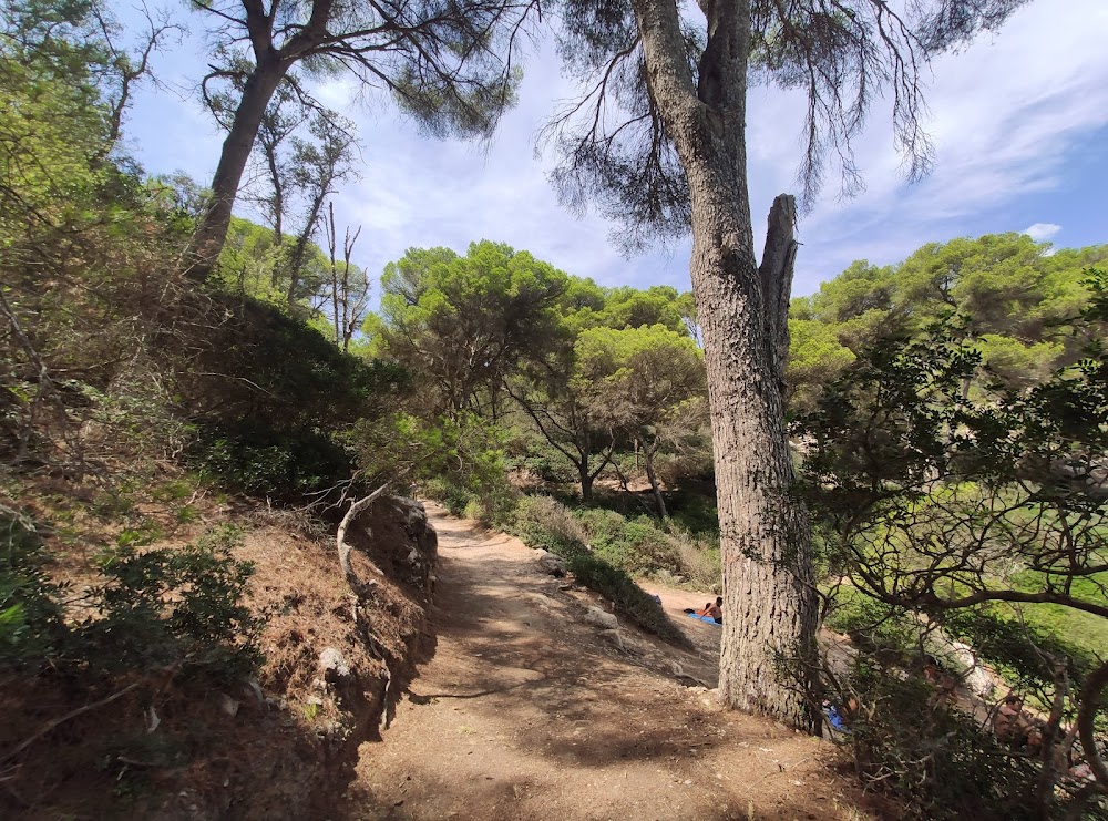 gem image Cala Mitjana 4