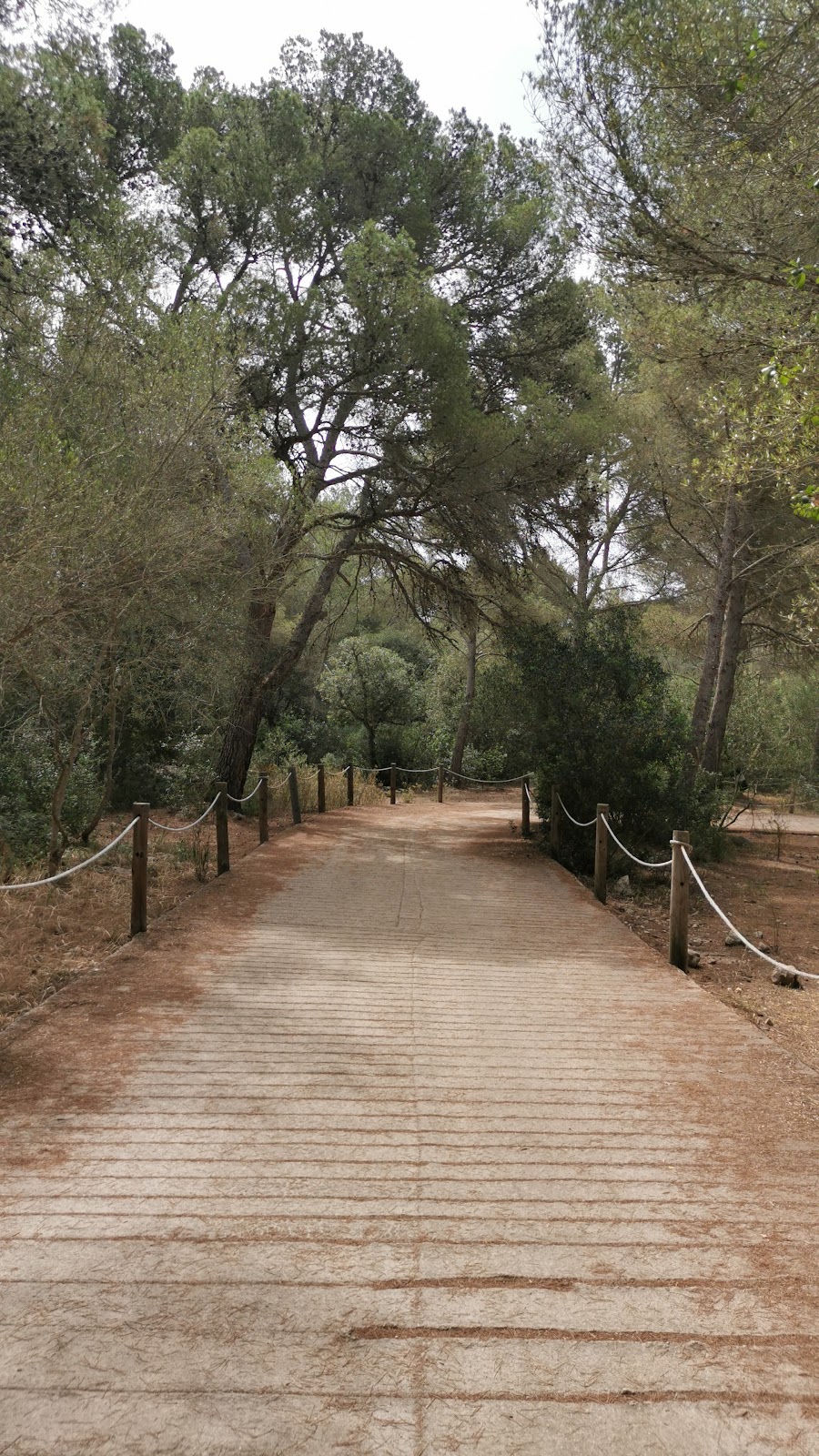 gem image Cala Mitjana 3