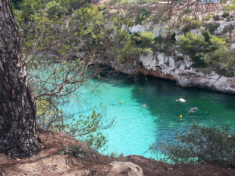 gem image Torrent de Cala Pi 9