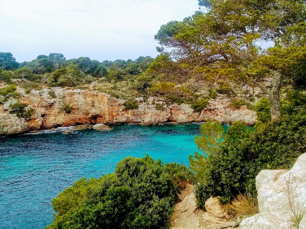 gem image Torrent de Cala Pi 8