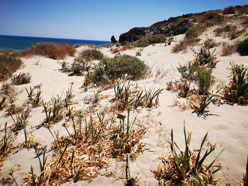 gem image Elafonissi Beach 6