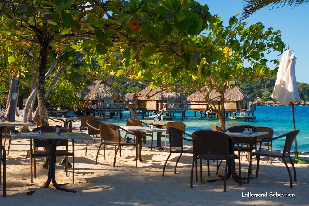 gem image Restaurant Tama’a Maitai 10