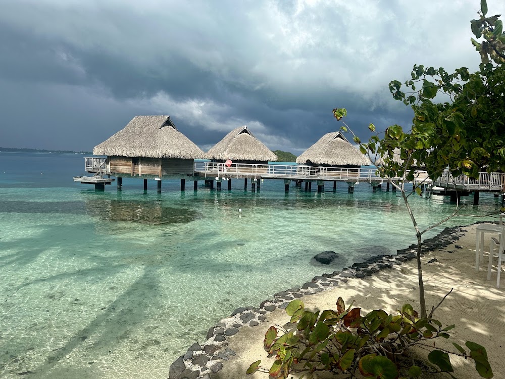 gem image Restaurant Tama’a Maitai 8