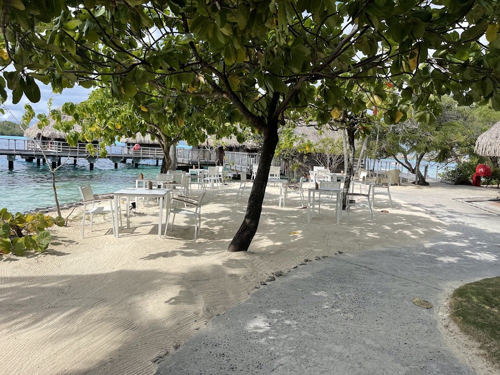 gem image Restaurant Tama’a Maitai 7