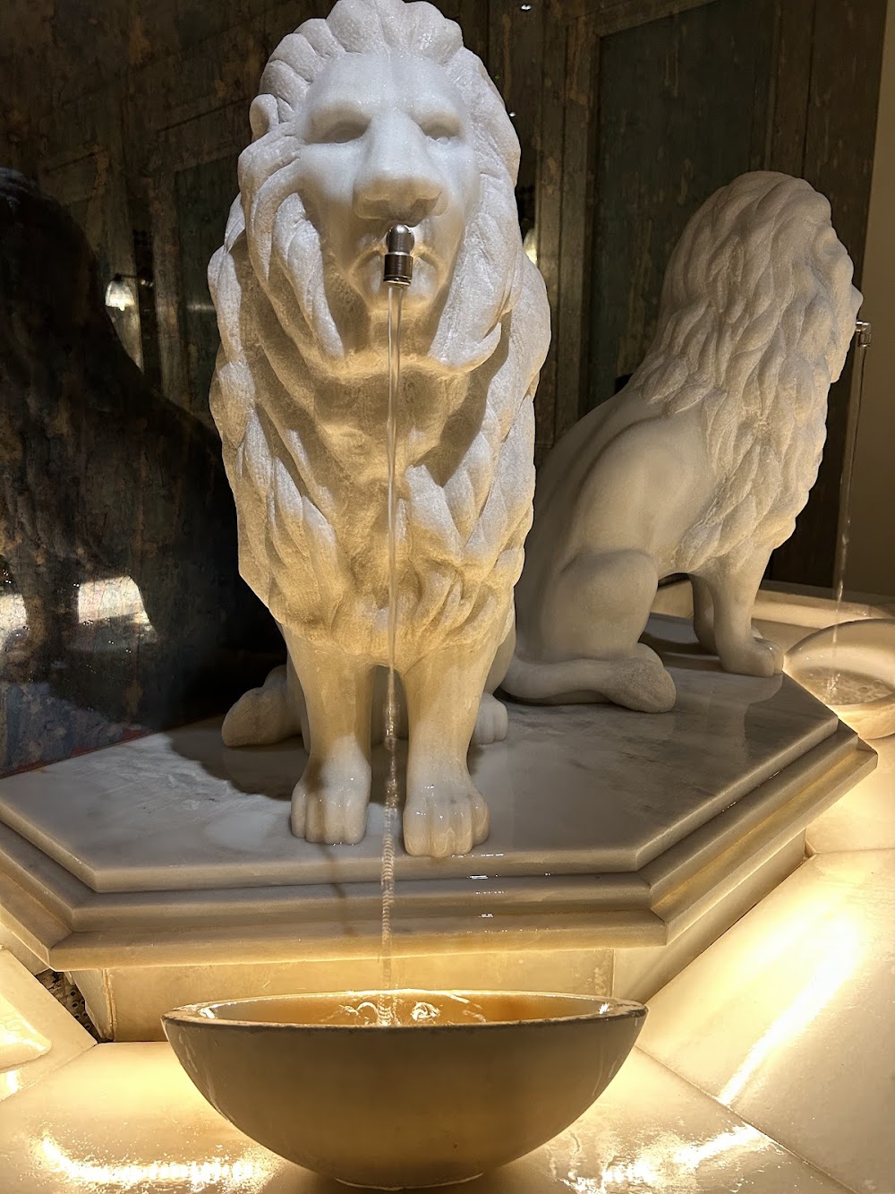 gem image Patio de Leones 5