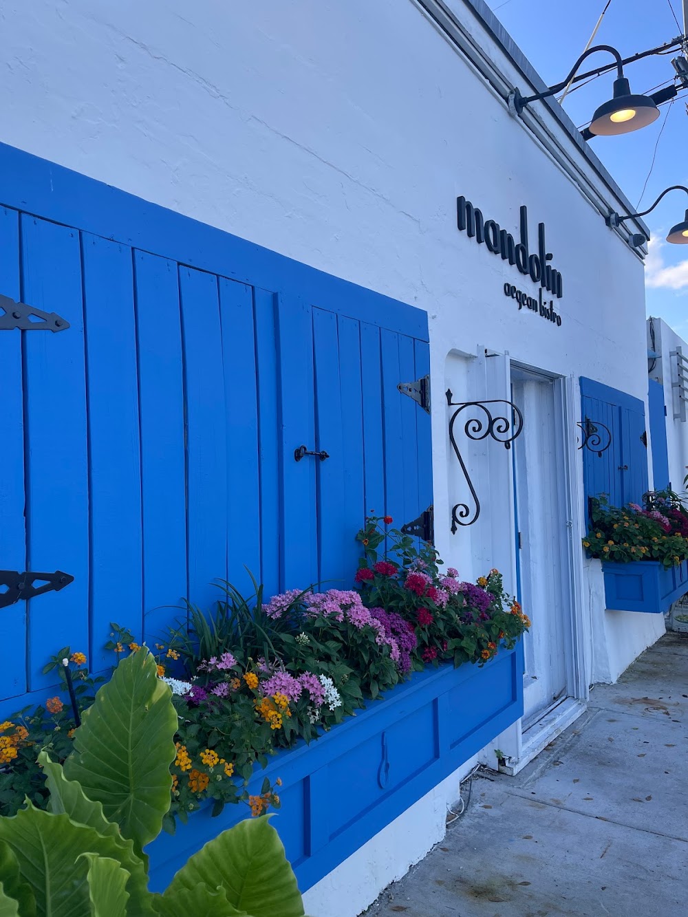 place image Mandolin Aegean Bistro