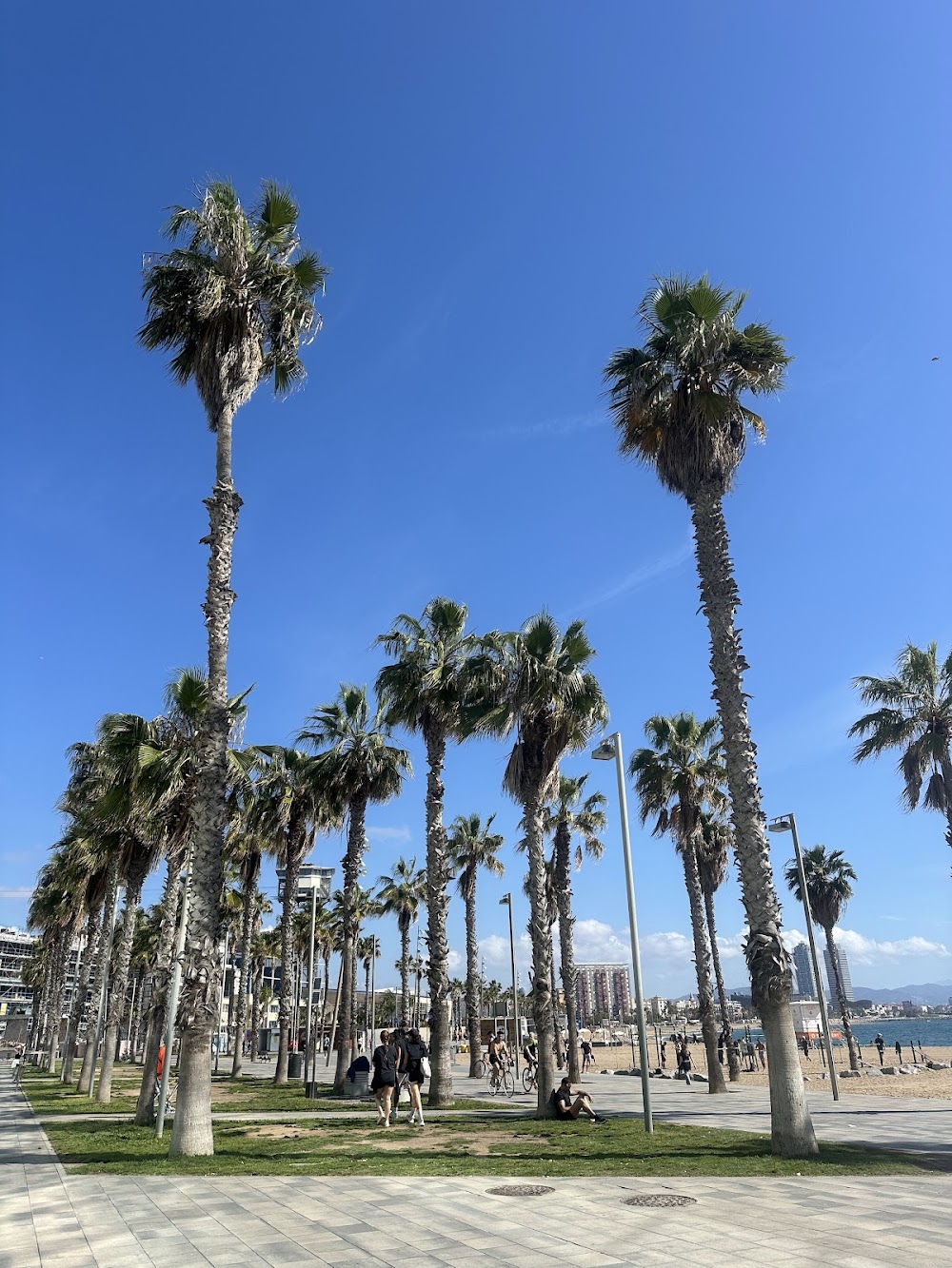 gem image Honest Greens Barceloneta 2